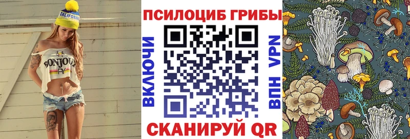 Галлюциногенные грибы Psilocybe  Туймазы 